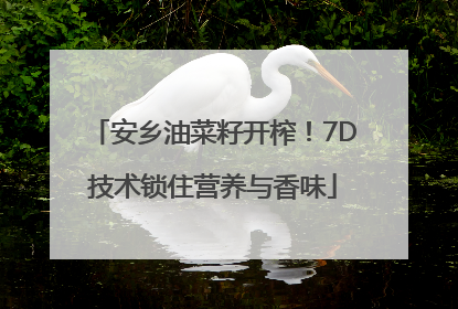 安乡油菜籽开榨！7D技术锁住营养与香味