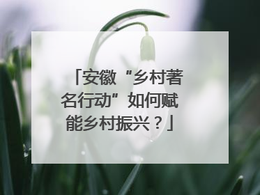 安徽“乡村著名行动”如何赋能乡村振兴？
