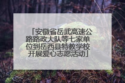 安徽省岳武高速公路路政大队等七家单位到岳西县特教学校开展爱心志愿活动