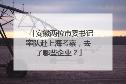 安徽两位市委书记率队赴上海考察，去了哪些企业？