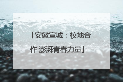 安徽宣城：校地合作 澎湃青春力量