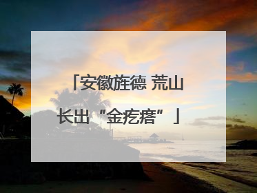 安徽旌德 荒山长出“金疙瘩”