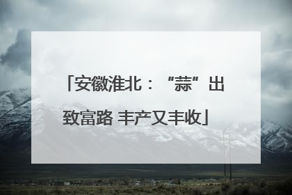 安徽淮北：“蒜”出致富路 丰产又丰收