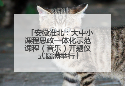 安徽淮北：大中小课程思政一体化示范课程（音乐）开题仪式圆满举行
