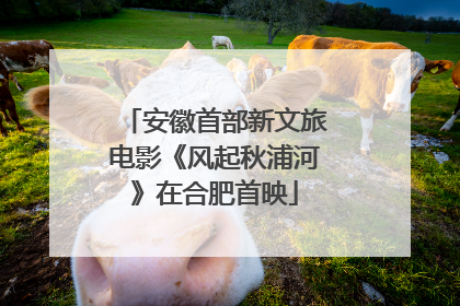 安徽首部新文旅电影《风起秋浦河》在合肥首映