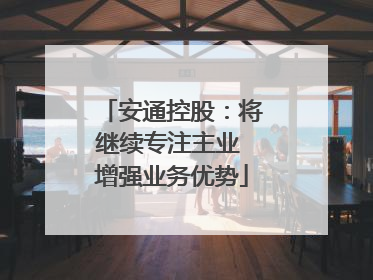 安通控股：将继续专注主业 增强业务优势