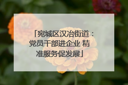 宛城区汉冶街道：党员干部进企业 精准服务促发展