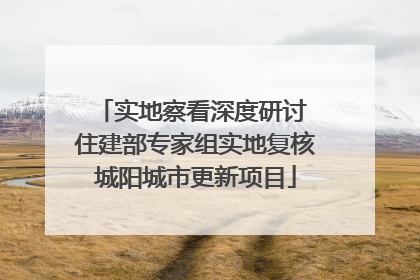 实地察看深度研讨 住建部专家组实地复核城阳城市更新项目