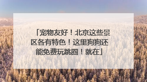 宠物友好！北京这些景区各有特色！这里狗狗还能免费玩跳圈！就在