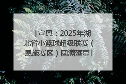 宣恩：2025年湖北省小篮球超级联赛（恩施赛区）圆满落幕