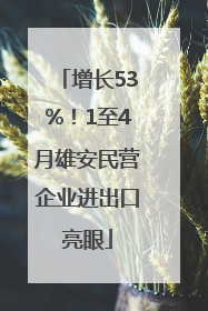 增长53%！1至4月雄安民营企业进出口亮眼