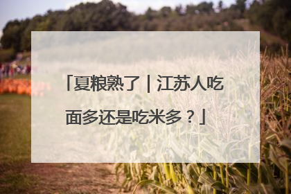 夏粮熟了｜江苏人吃面多还是吃米多？