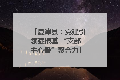 夏津县：党建引领强根基 “支部主心骨”聚合力
