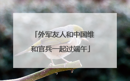 外军友人和中国维和官兵一起过端午