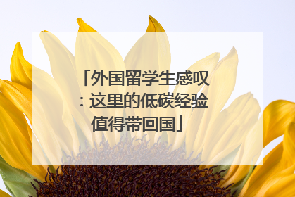 外国留学生感叹：这里的低碳经验值得带回国