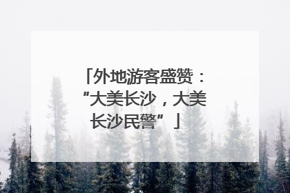 外地游客盛赞：“大美长沙，大美长沙民警”