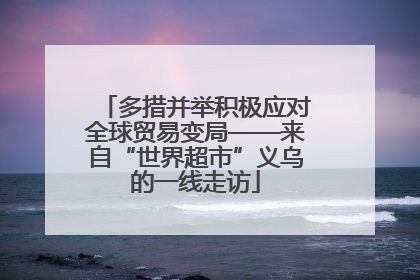 多措并举积极应对全球贸易变局——来自“世界超市”义乌的一线走访