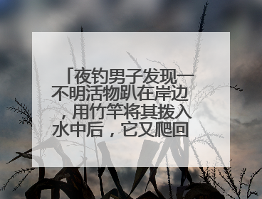 夜钓男子发现一不明活物趴在岸边，用竹竿将其拨入水中后，它又爬回岸边……
