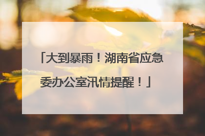 大到暴雨！湖南省应急委办公室汛情提醒！