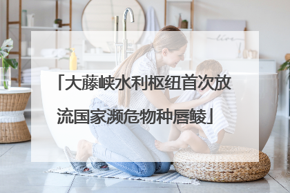 大藤峡水利枢纽首次放流国家濒危物种唇鲮