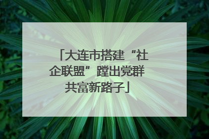 大连市搭建“社企联盟”蹚出党群共富新路子