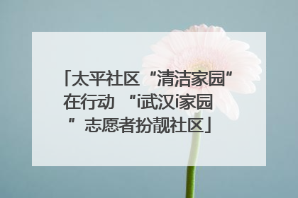 太平社区“清洁家园”在行动 “i武汉i家园”志愿者扮靓社区