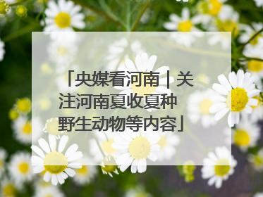 央媒看河南｜关注河南夏收夏种 野生动物等内容