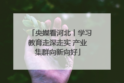 央媒看河北丨学习教育走深走实 产业集群向新向好