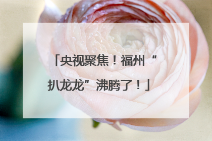 央视聚焦！福州“扒龙龙”沸腾了！