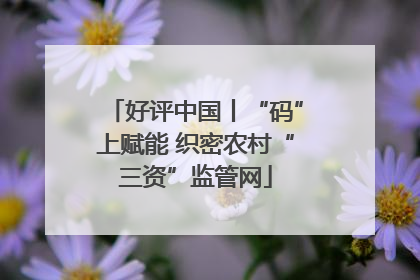 好评中国丨“码”上赋能 织密农村“三资”监管网