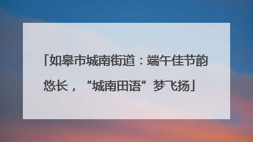 如皋市城南街道：端午佳节韵悠长，“城南田语”梦飞扬