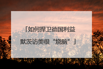 如何捍卫德国利益 默茨访美很“烧脑”