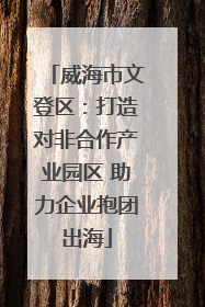 威海市文登区：打造对非合作产业园区 助力企业抱团出海