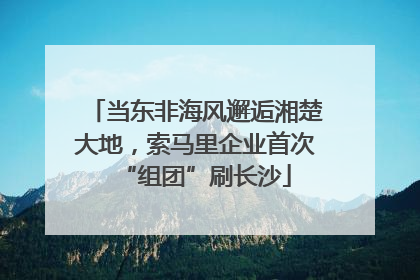 当东非海风邂逅湘楚大地，索马里企业首次“组团”刷长沙