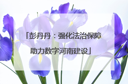 彭丹丹：强化法治保障 助力数字河南建设