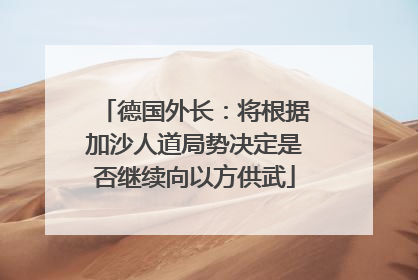 德国外长：将根据加沙人道局势决定是否继续向以方供武
