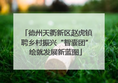 德州天衢新区赵虎镇聘乡村振兴“智囊团” 绘就发展新蓝图