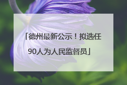 德州最新公示！拟选任90人为人民监督员