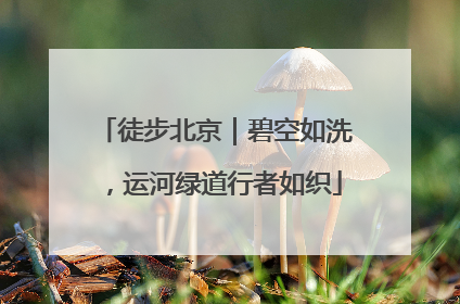 徒步北京｜碧空如洗，运河绿道行者如织