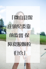 微山县留庄镇纪委靠前监督 保障夏粮颗粒归仓