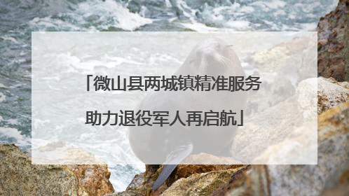 微山县两城镇精准服务助力退役军人再启航