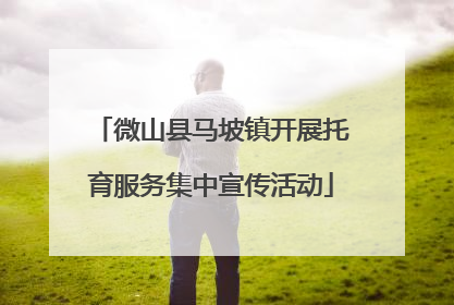 微山县马坡镇开展托育服务集中宣传活动