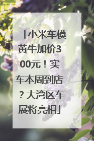 小米车模黄牛加价300元！实车本周到店？大湾区车展将亮相