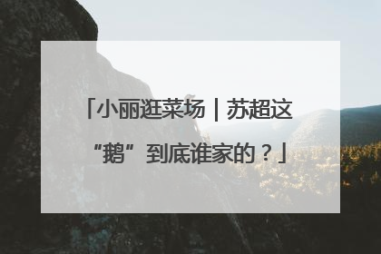 小丽逛菜场｜苏超这“鹅”到底谁家的？