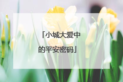 小城大爱中的平安密码