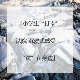 小学生“打卡”法院 沉浸式感受“法”在身边