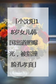 小沈阳18岁女儿韩国出道照曝光，被指撞脸孔孝真