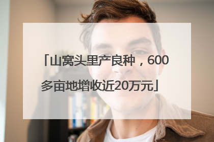 山窝头里产良种，600多亩地增收近20万元