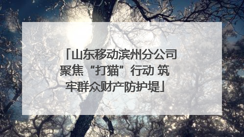 山东移动滨州分公司聚焦“打猫”行动 筑牢群众财产防护堤