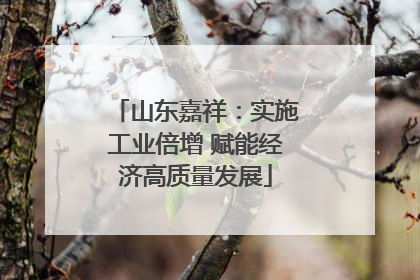 山东嘉祥：实施工业倍增 赋能经济高质量发展